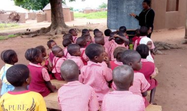 Neglected U.B.E Primary School in Kaduna Struggles Without Classrooms, Drawing Public Outcry