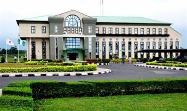 Building Human Capital: The Debate Over New Universities in Nigeria