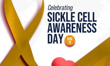UI Students' Union Marks Sickle Cell Day