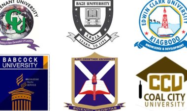 Outrage as Netizens Criticize Civil Servants Sending Children to Private Universities, Accuses them of Financial Misconduct