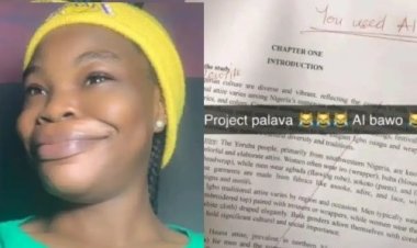 Student Voices Frustration as Supervisor Cancels Project, Accusing Her of Using AI