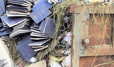 "What is the Application of Students Research Project to the Society?" - Nigerians Call Out