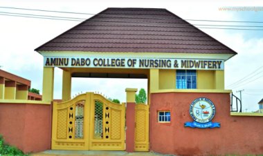 Gov. Yusuf Orders Completion Of Kano College Of Nursing Abandoned Projects