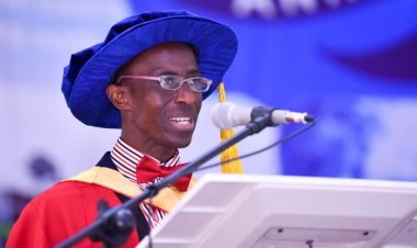 UI Deputy Vice-Chancellor Urges Reopening of Heritage Museum, Emphasises Preservation of Artefacts