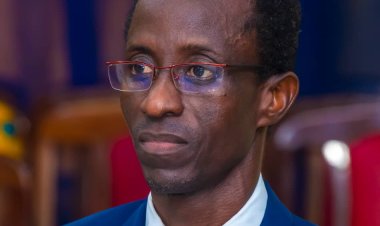 University of Ibadan Demonstrates Commitment to Climate Change Initiatives