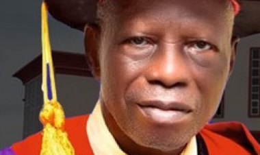 FUTA Don Advocates Use of Software Industry to Drive Nigeria’s Global Competitiveness