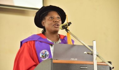 FUTA Professor Advocates for Effective Application of AI to Address Societal Challenges