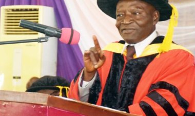 AAUA Don Urges FG to Deploy GIS for Security, Disaster, Agriculture Management