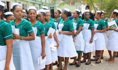 Nigerian Army College of Nursing Releases 2024/2025 Admission Forms