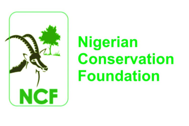 Ncf Tree NCF Partners with Ojukwu University for Tree-Planting and Climate ...