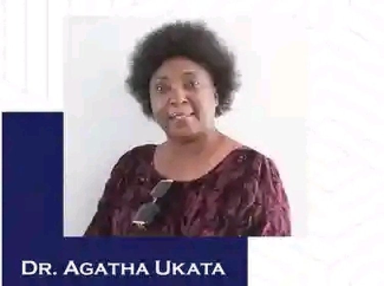 American University of Nigeria Announces Faculty Promotion