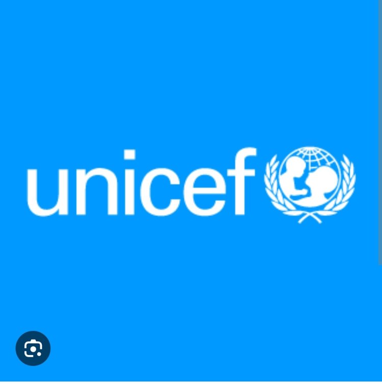 Nigerian Schools in Crisis: UNICEF Calls for Urgent Renovation