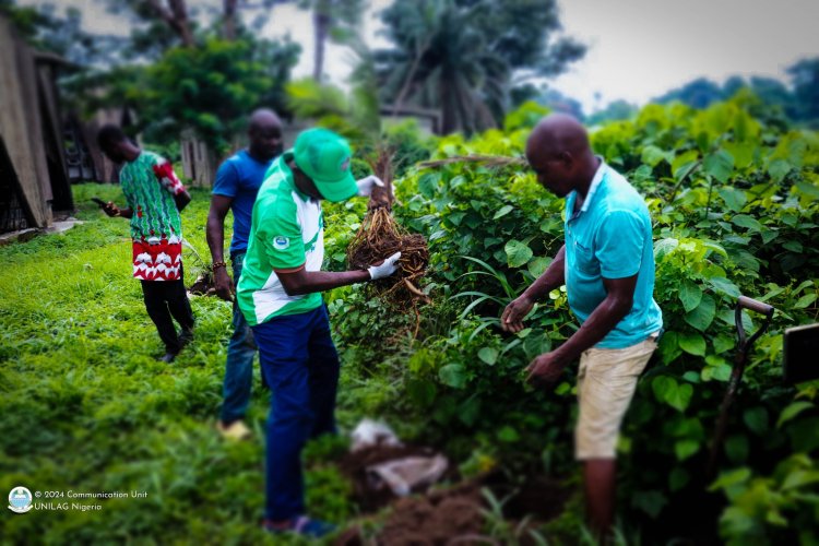 UNILAG TCEBCEM Leads Land Restoration Efforts in Commemoration of World Environment Day