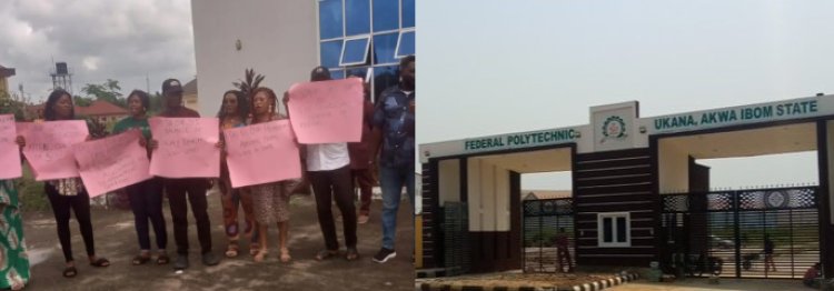 Akwa-Ibom: Staff at  Federal Polytechnic  Begins Warning Strike, Demands Salary Settlement