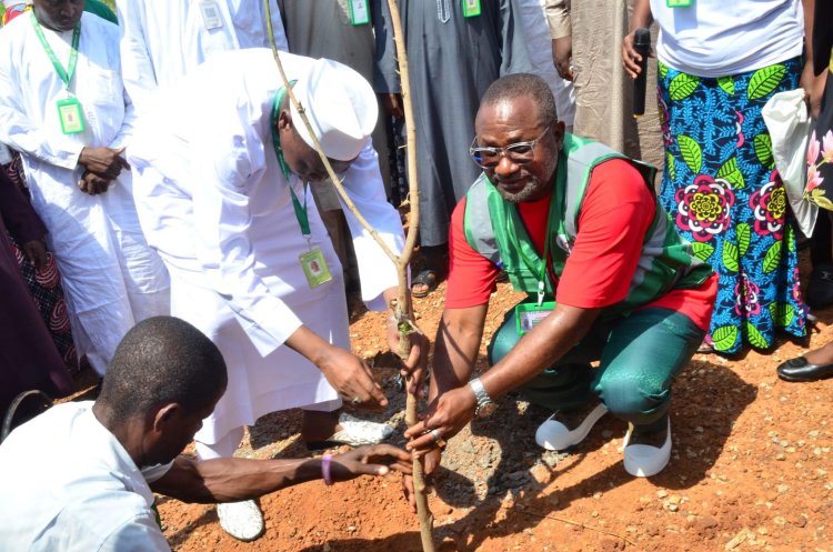 Tree planting: FULafia VC says campaign will foster eco-friendly environment