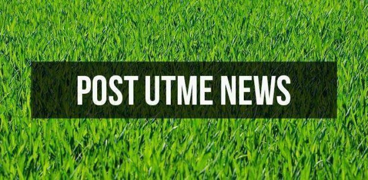 UTME 2024: List of schools Conducting Post-UTME Exams