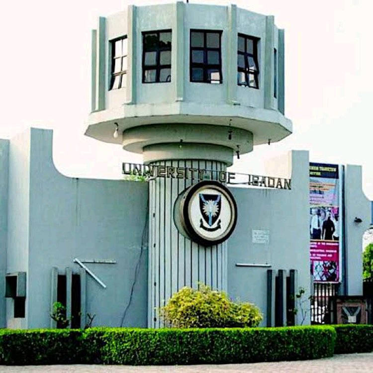 NSE Ibadan Inducts 270 New Graduate Members from University of Ibadan