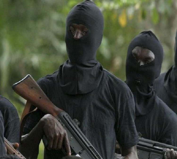 Kidnappers Collected N40m Before Releasing Us – Nasarawa Poly Student