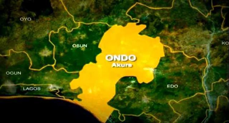 Ondo Lawmaker Awards Bursary to 400 Undergraduates