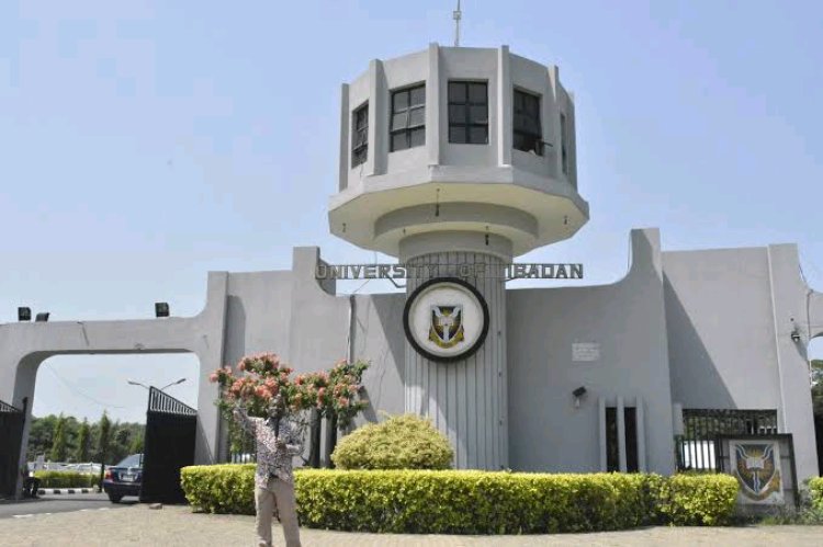 Tinubu Appoints Bisi Akande as Pro-Chancellor of University of Ibadan