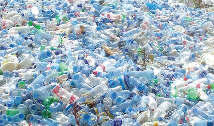 France Partners with 13 Nigerian Universities to Advance Plastic Waste Management
