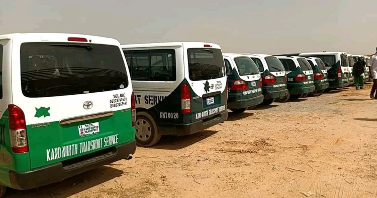 Kano North Launches Free Transport Service for Students