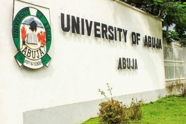 University of Abuja to Establish 'Centre for Wole Soyinka Studies' in Honor of Literary Icon's 90th Birthday