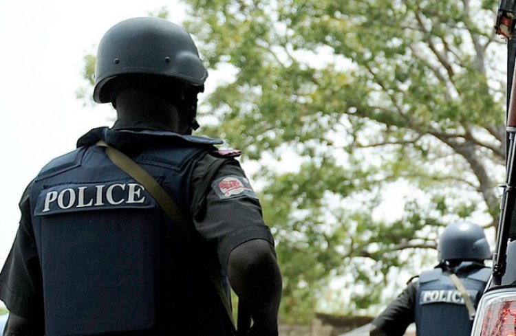 Nigeria Police School Releases Admission List for 2024/2025 Academic Session