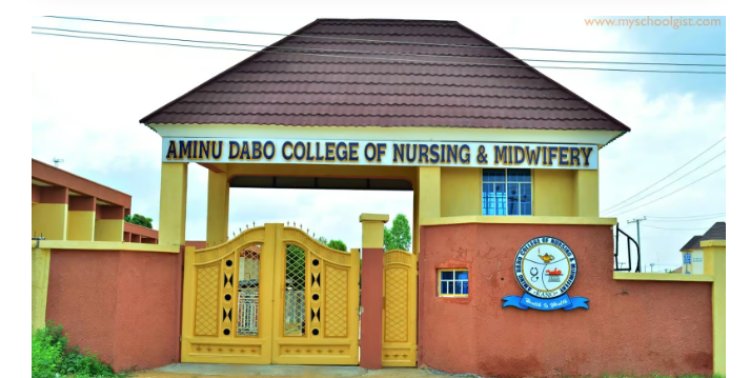 Gov. Yusuf Orders Completion Of Kano College Of Nursing Abandoned Projects