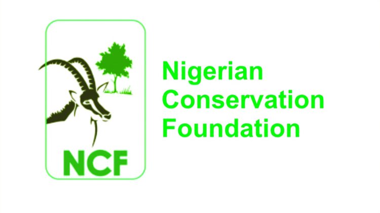 NCF Partners with Ojukwu University for Tree-Planting and Climate Action Summit