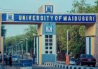 University of Maiduguri Commences NELFUND Tuition Fee Refund