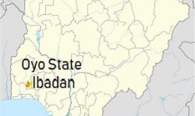 Over 1,000 Experts Undergo AI Training at Ibadan Conference