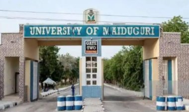 University of Maiduguri Hosts Yola Electricity Distribution Company Delegation