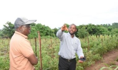 FUNAAB VC Showcases Agricultural Innovations to Tackle Food Security Challenges