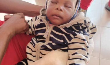 Abandoned 3-Month-Old Baby Found in Anambra School, Police Seek Public Assistance