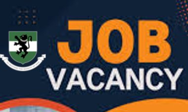 UNN Invites Application for Academic Staff Vacancy in Petroleum Geology