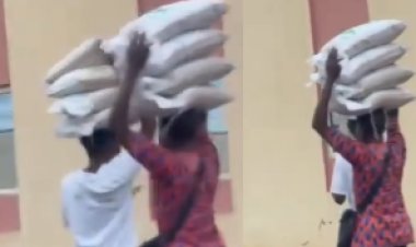 SUG officials Caught on Camera Allegedly Diverting Bags of Rice Intended for Distribution Among Students