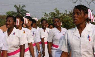 Bauchi Student Nurses and Midwives Association Condemns Disrespectful Portrayal in Film