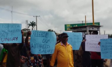 NASU, SSANU Protest at University of Ibadan, Threaten Nationwide Strike on July 18