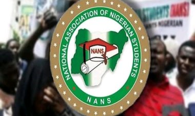NANS Demands Inclusion of All Eligible Students in NELFUND Scheme