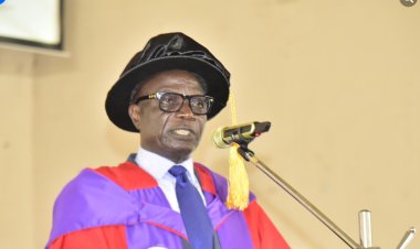 FUTA Don Raises Alarm Over Use of Banned Chemicals as Pesticides