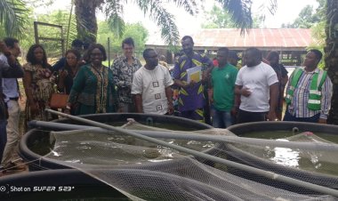 French Ministry Delegates Visit Anambra State Polytechnic for WATEA Project Inspection