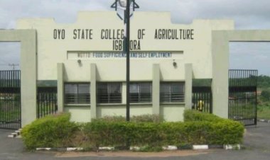 Accreditation Delays Stall Oyo College Graduates' NYSC Mobilization