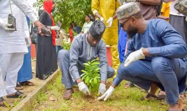 Kaduna State University Promotes Sustainability Through Tree Planting Campaign
