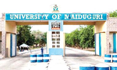 An open letter to the acting vice chancellor, Professor Mohammad Laminu Mele