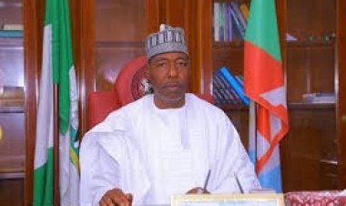 Borno State Government to Sponsor Students for Chinese Language, Medicine, and Engineering Studies in China