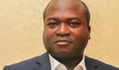 UNILAG Appoints Dr. Ayodele Ogunsan to CEDHUL Advisory Board