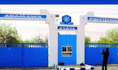 Adamawa State Polytechnic Students Now Eligible for FG Loan