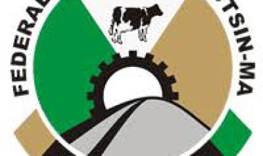 Crypto Craze Hits Exams: Dutsin-Ma Students Tackle Economic Impact of NOTCOIN