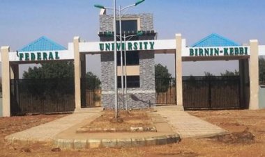 SSANU and NASU in Kebbi Join Nationwide Strike Over Salary Arrears